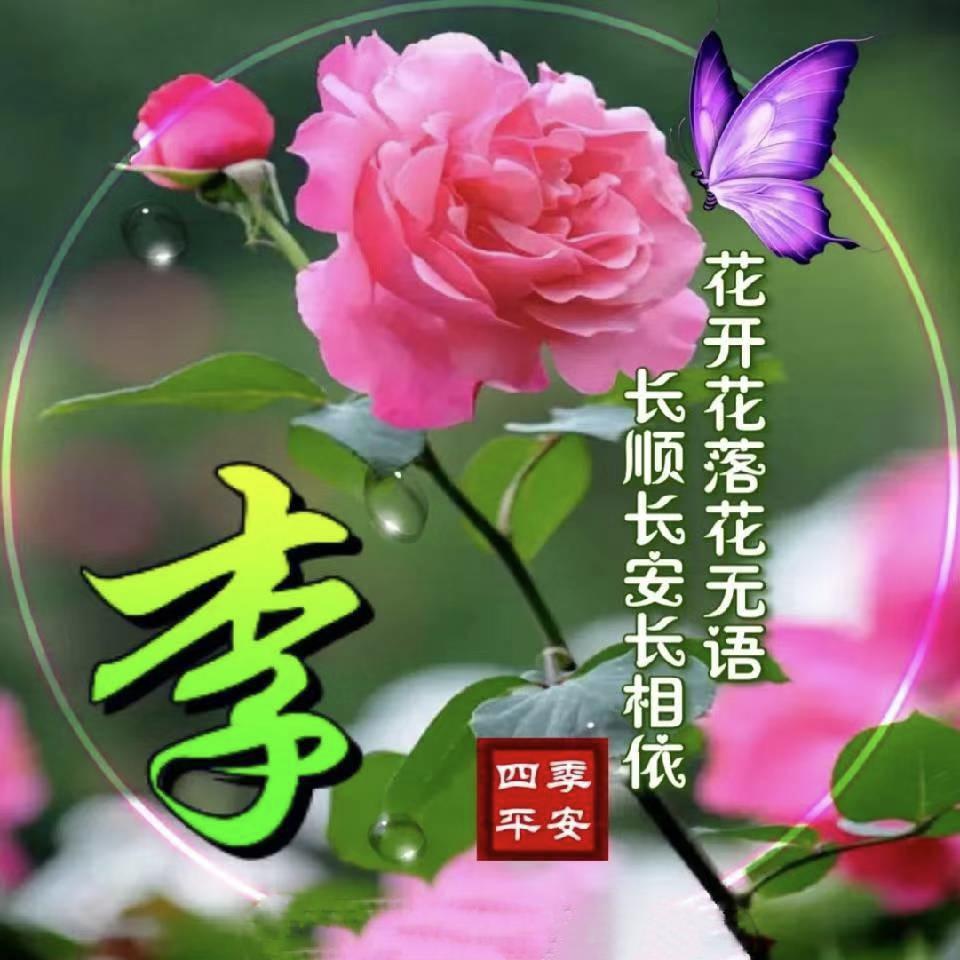 天鹰