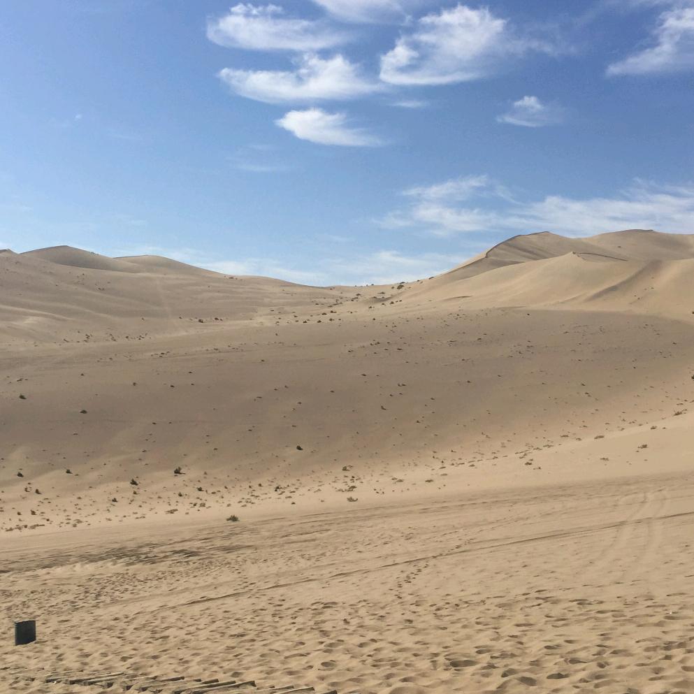 星期八台球俱乐部～常坟店