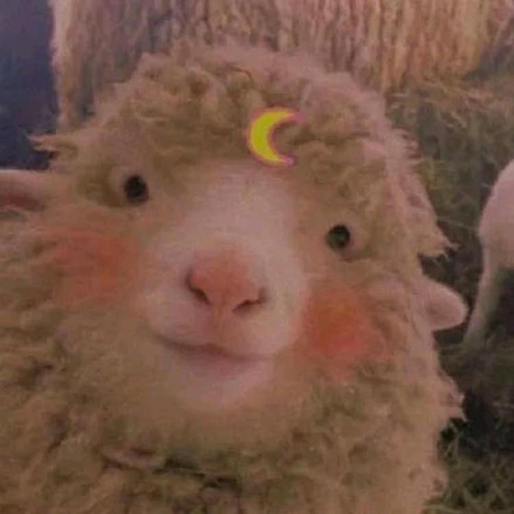 明天见.