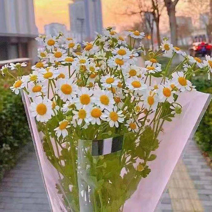 透过指缝的阳光