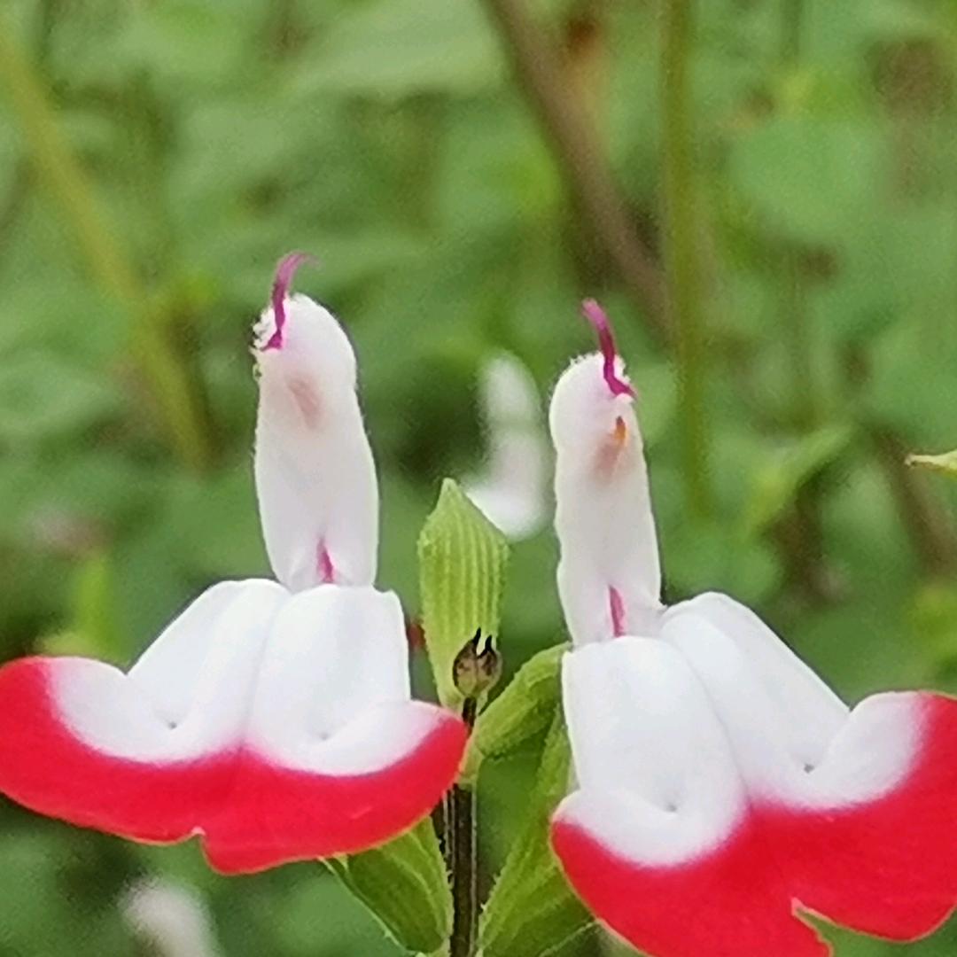 随缘
