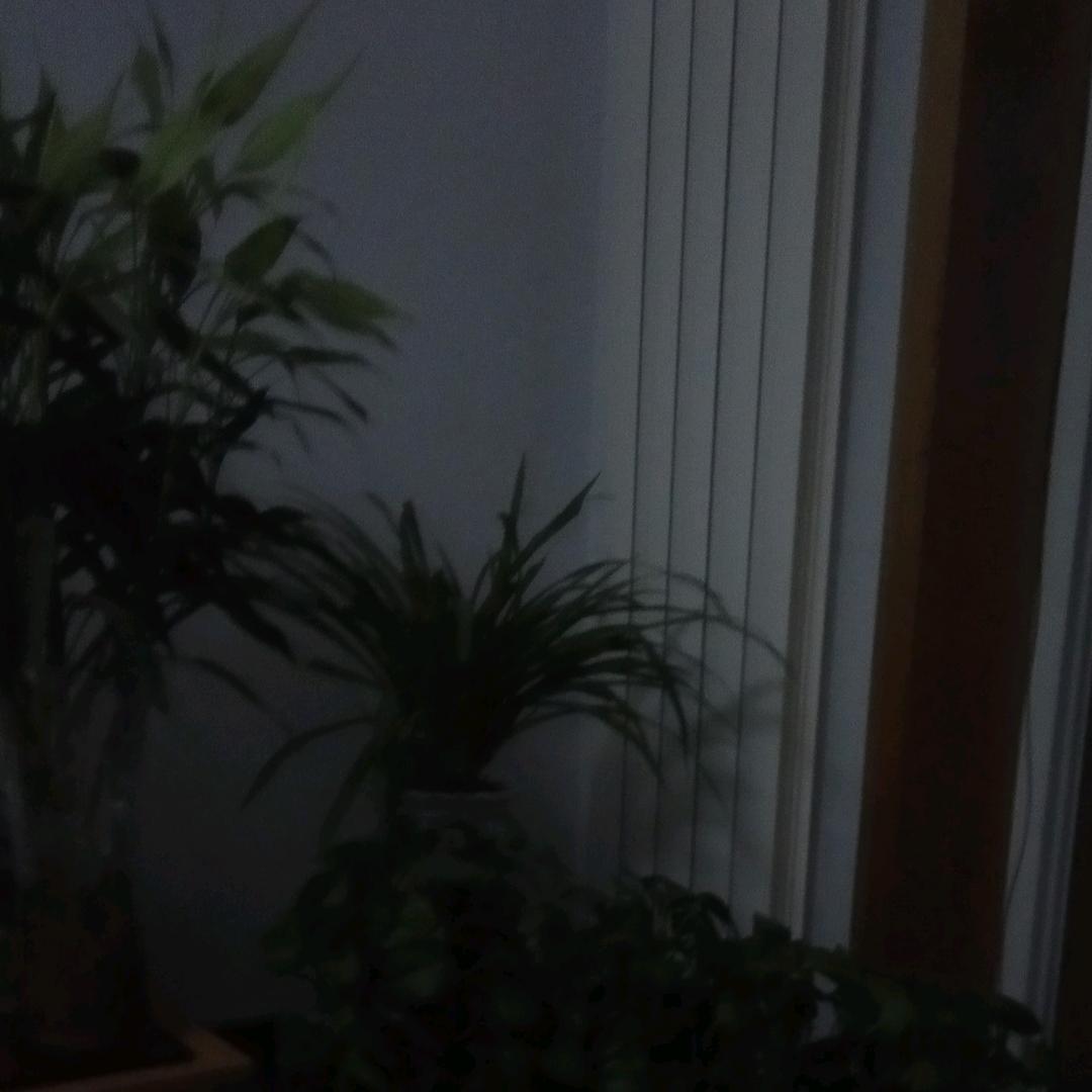 欣然@