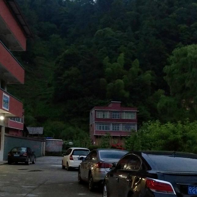 小罗习水县羊九郑家坝长嵌沟辣子鸡麻辣鱼