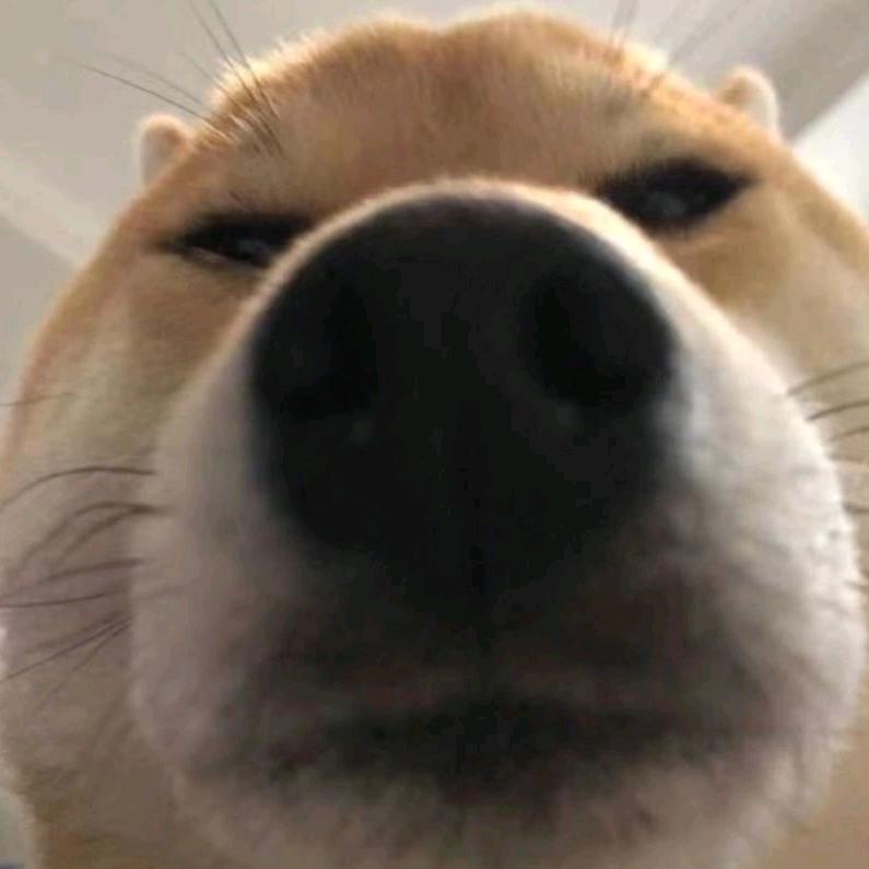 振振振振振振振振振振振振振方穆