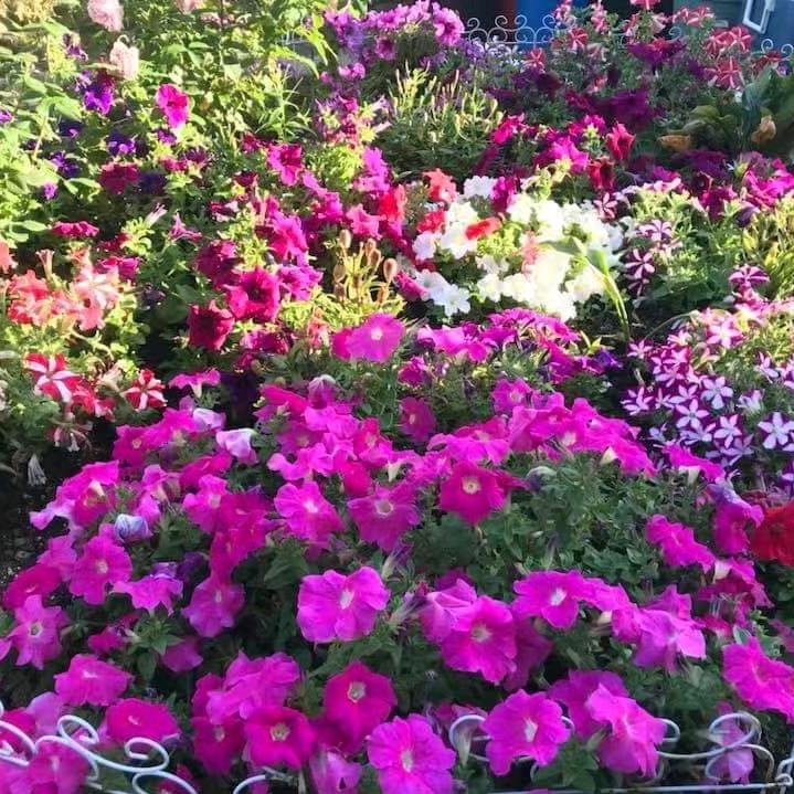 用户3308775562059云朵