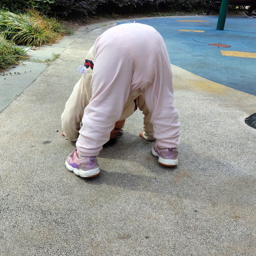 蜗牛带我去散步