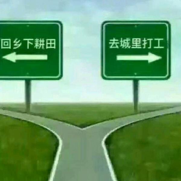 来看看