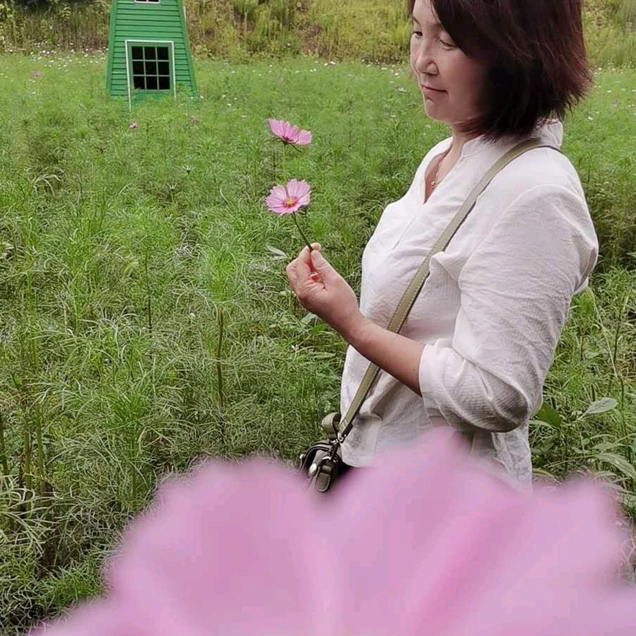 薰衣草