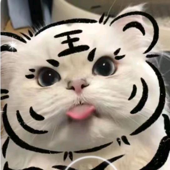 肩白