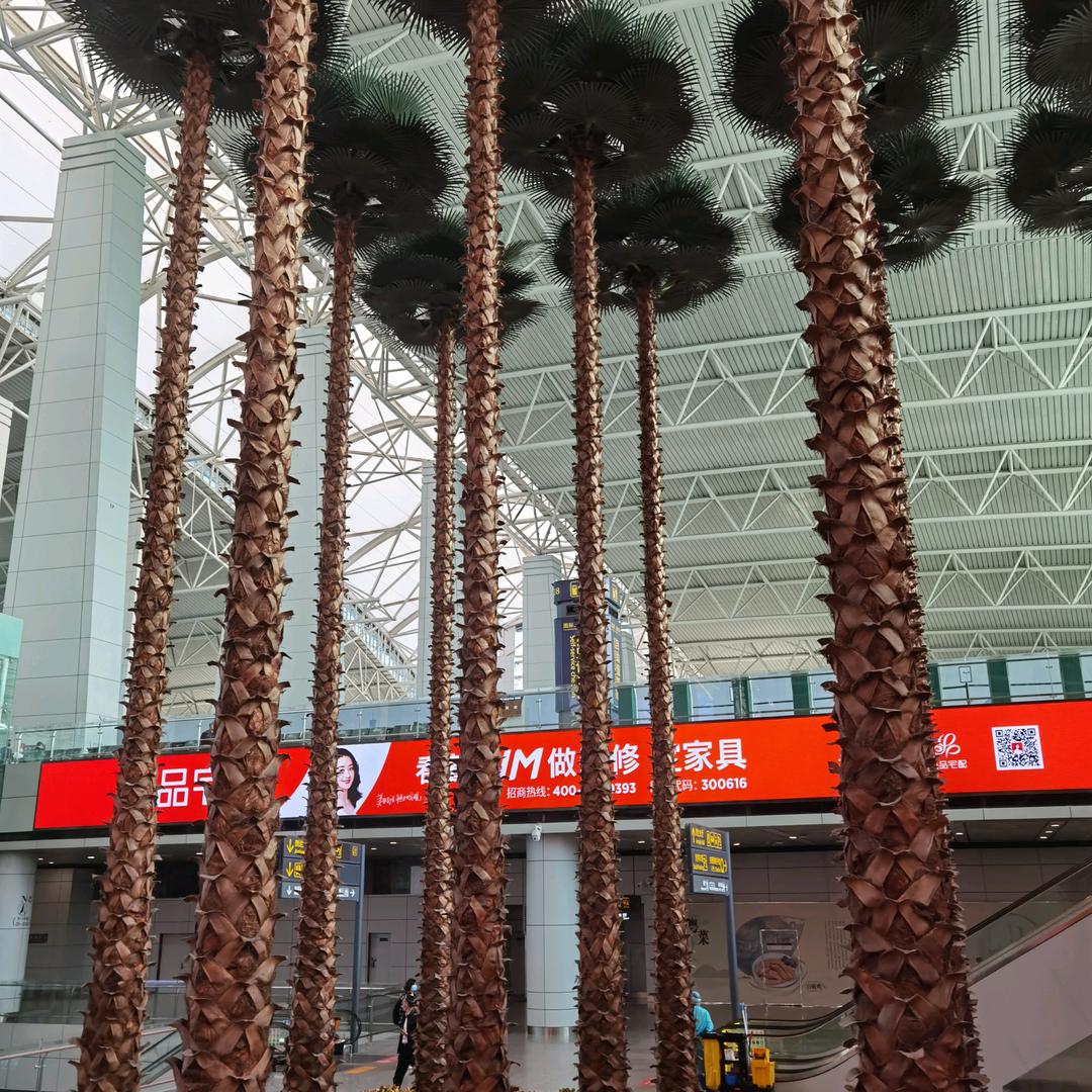 知冷知热是夫妻