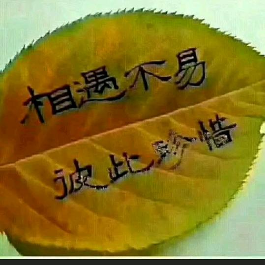往后余生&随缘