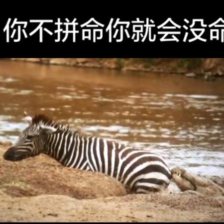 潮洋水个人护理店