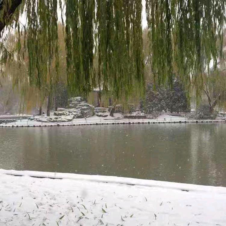 123不许动²¹²¹