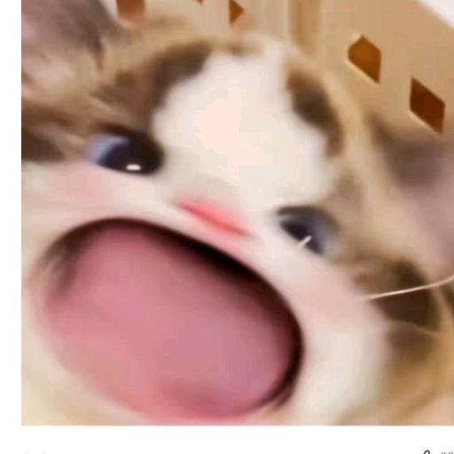 脑白金