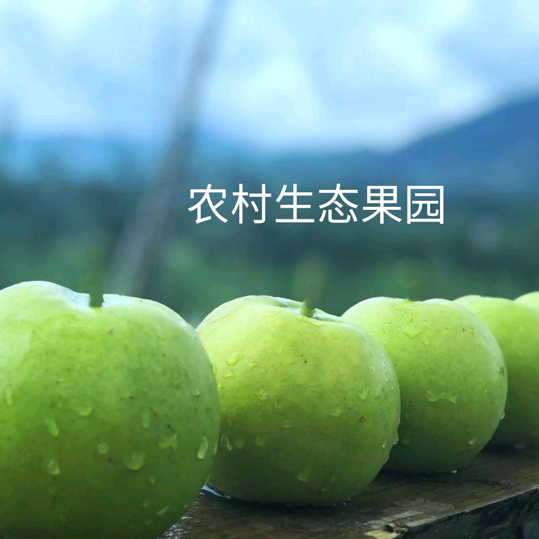 芳草碧连天