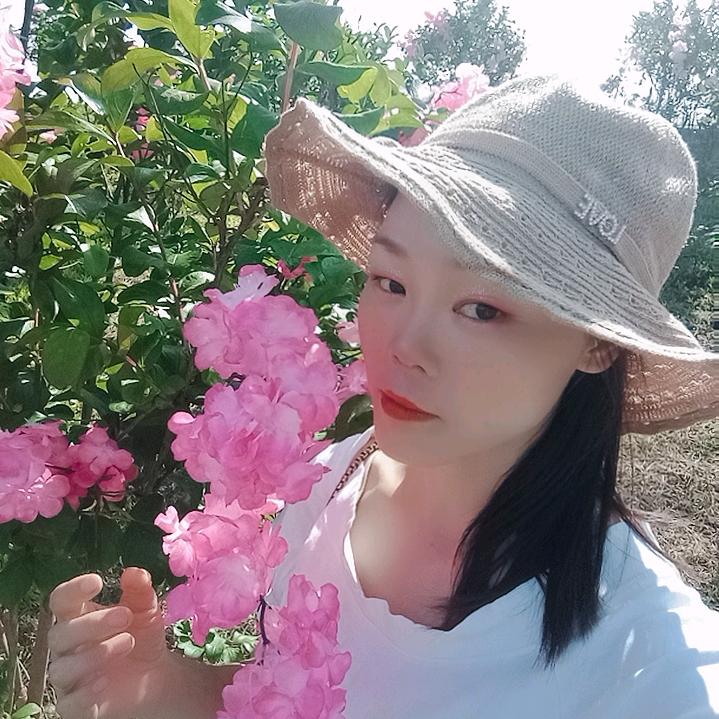 诗芬（日常号）