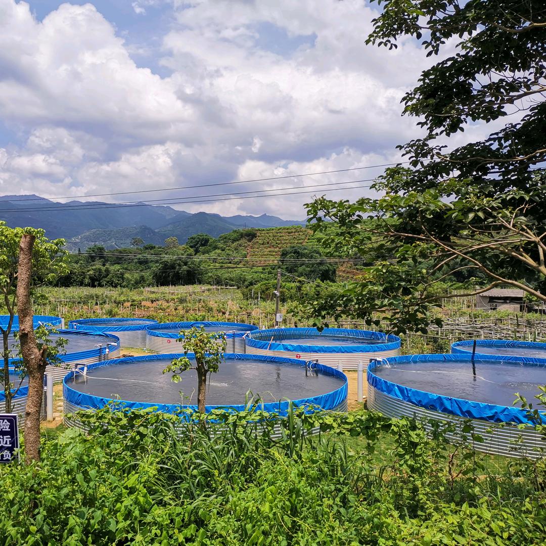 中成帆布池pp板鱼池厂家