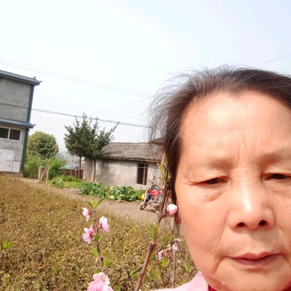 凤霞