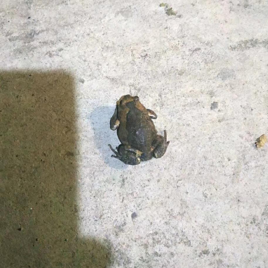 好哇塞😀