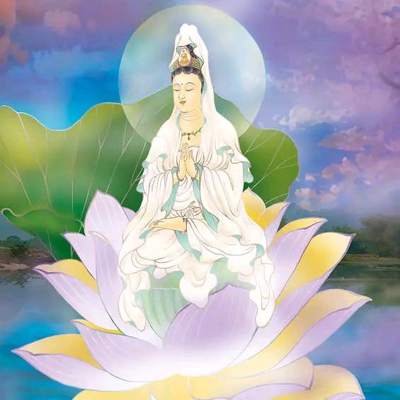 缘止今生