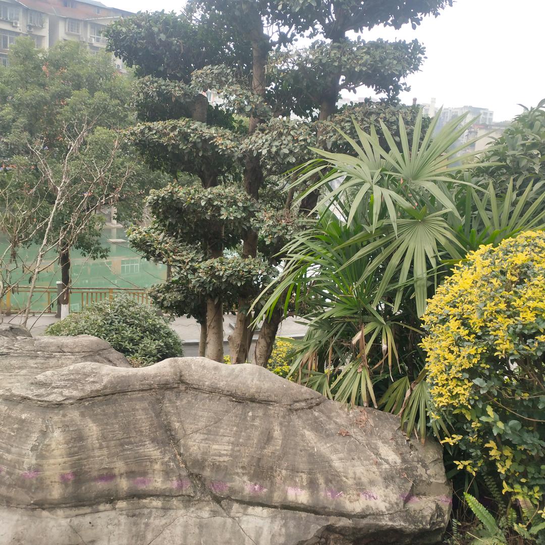 🍀一🌸个🌺孤🍁单💐的🌷人🌻