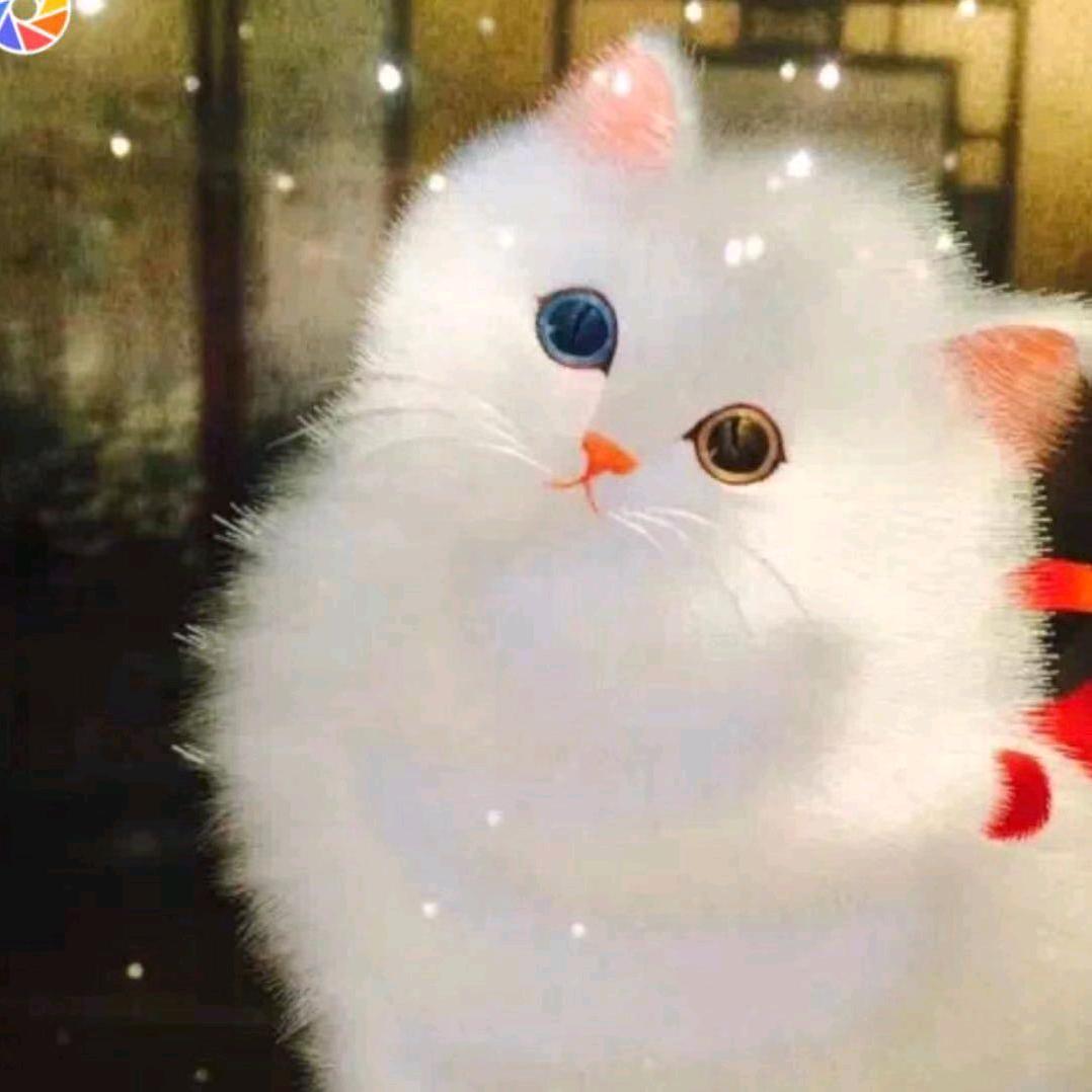 郓城阳光大姐家政服务