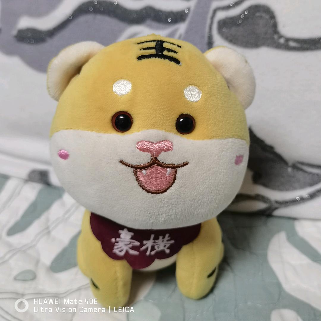 墨雨