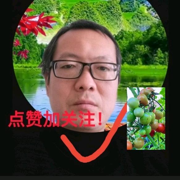 卢哥优选