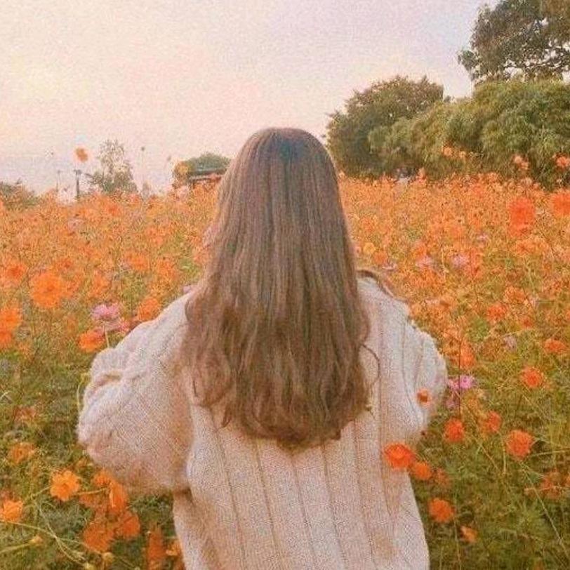 半夏№