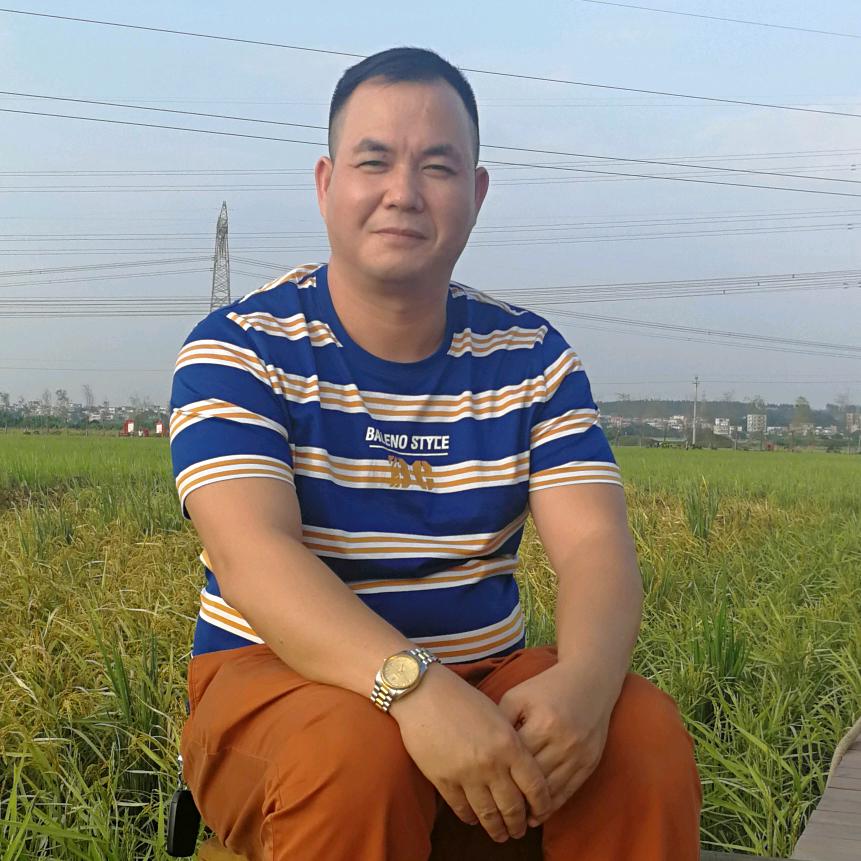 杨金华