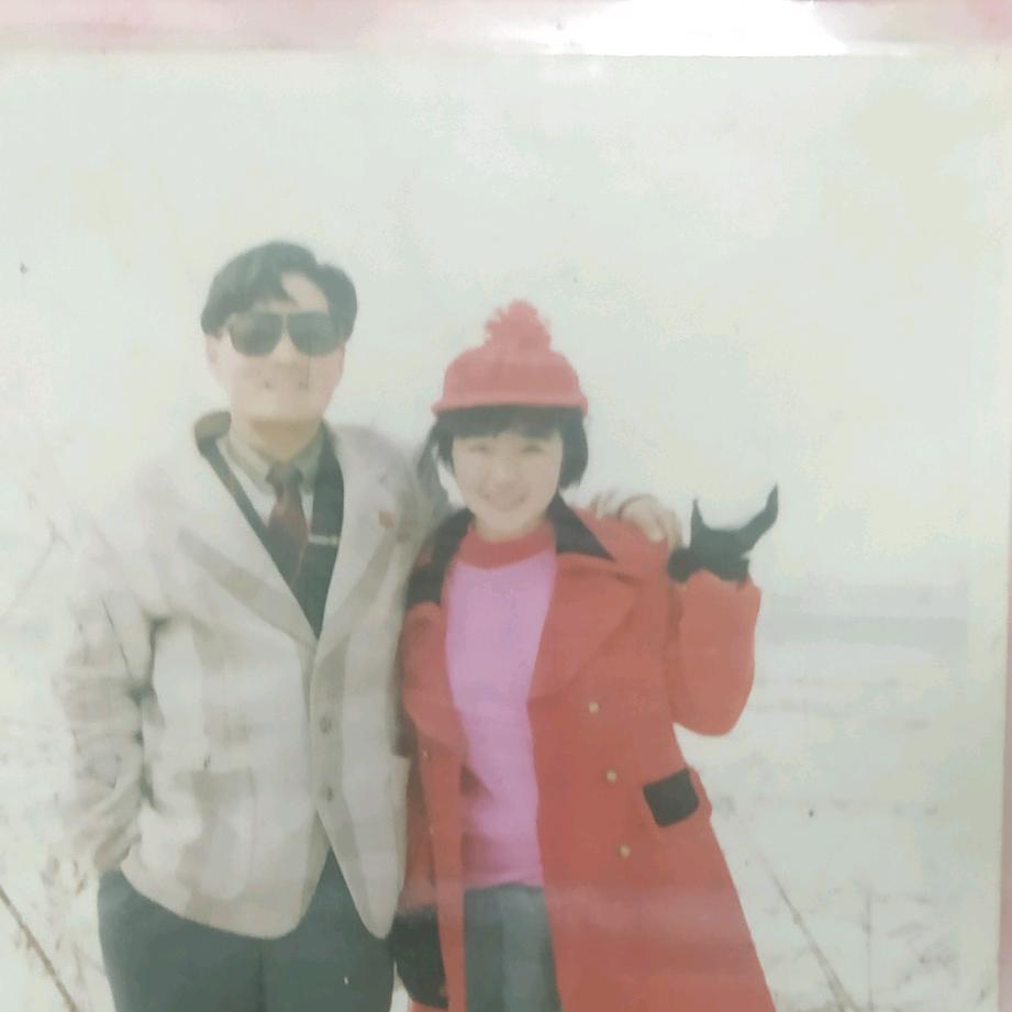 善鹏