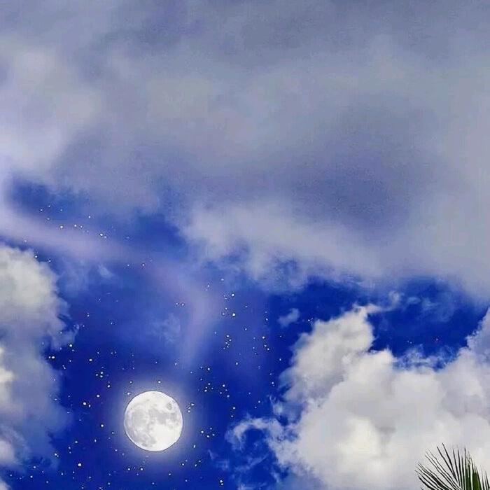 流星
