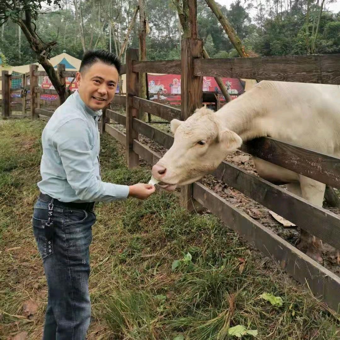 仁寿三棵树漆总经销typ798321