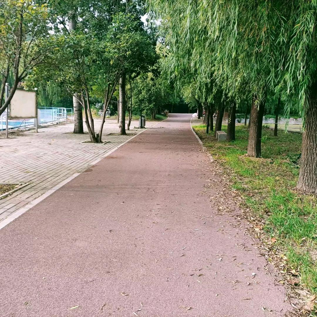 晨花暮拾