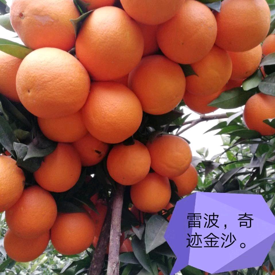 吴于宽