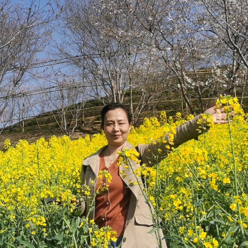 刘成香