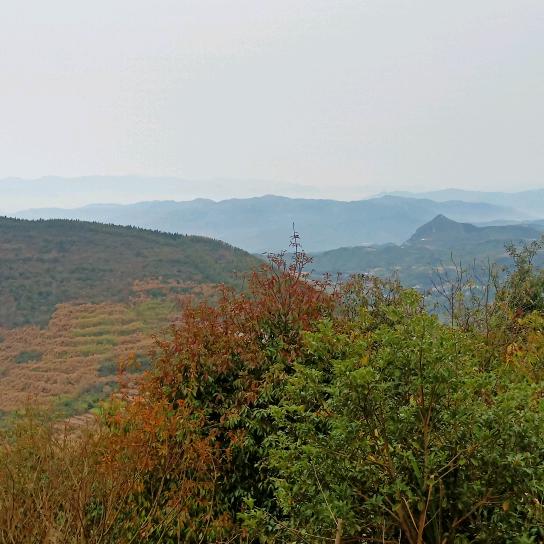 注塑加工厂