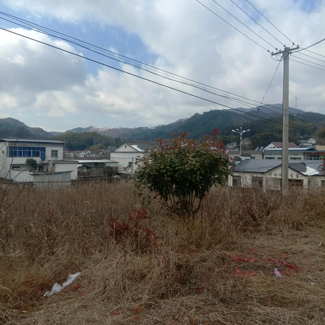 俊