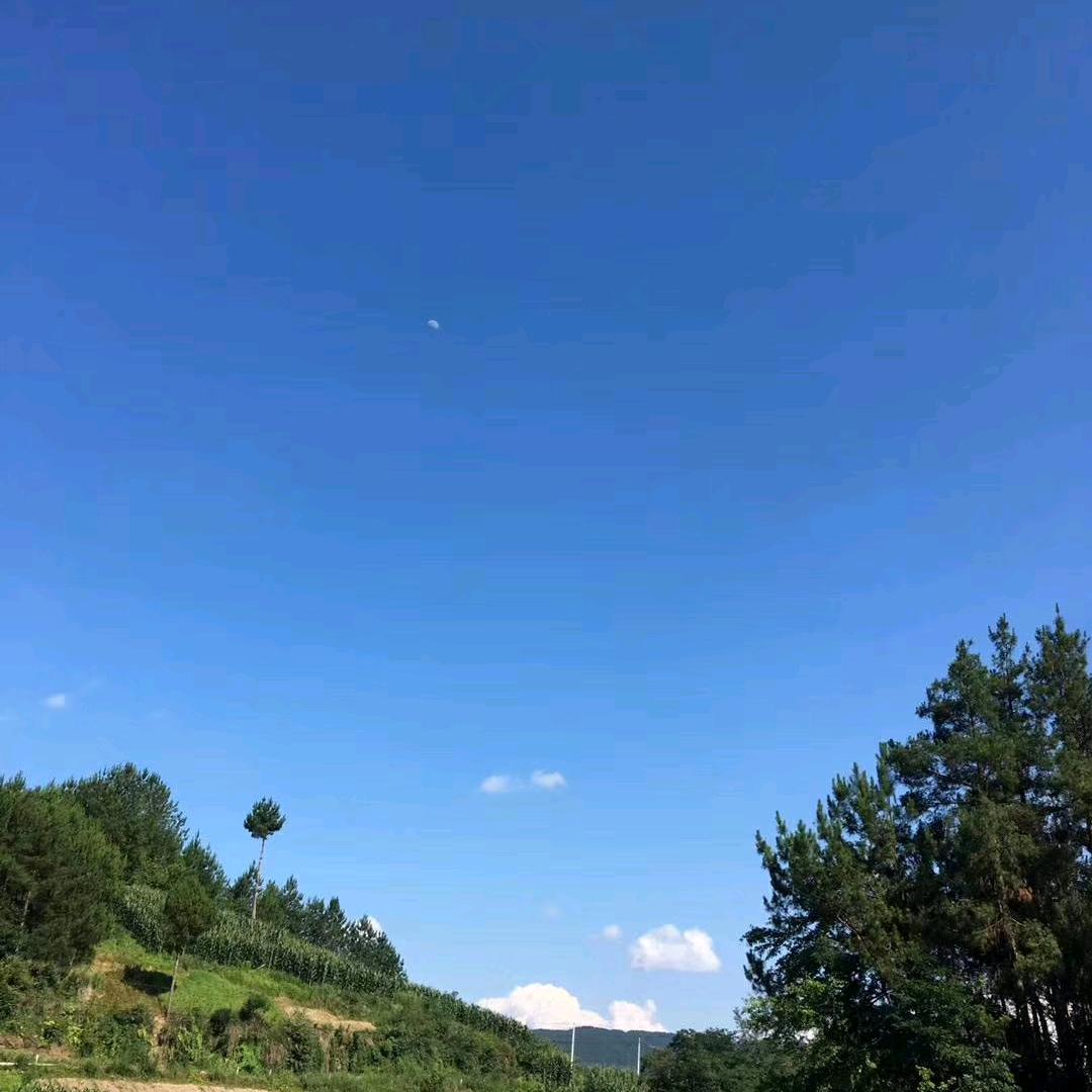 四海天涯