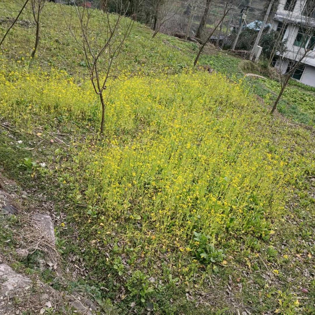 好久不见