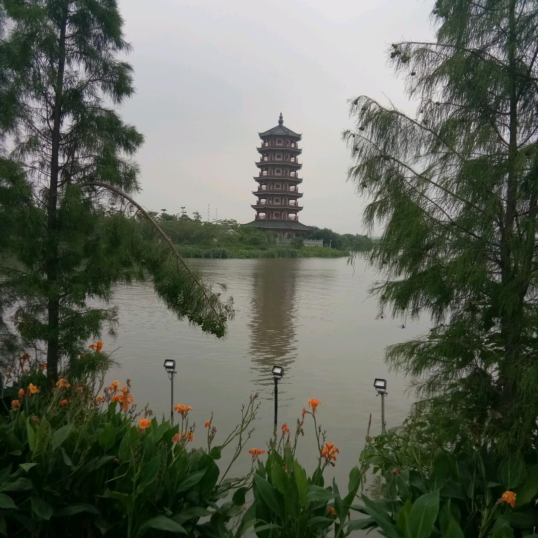 艾福康