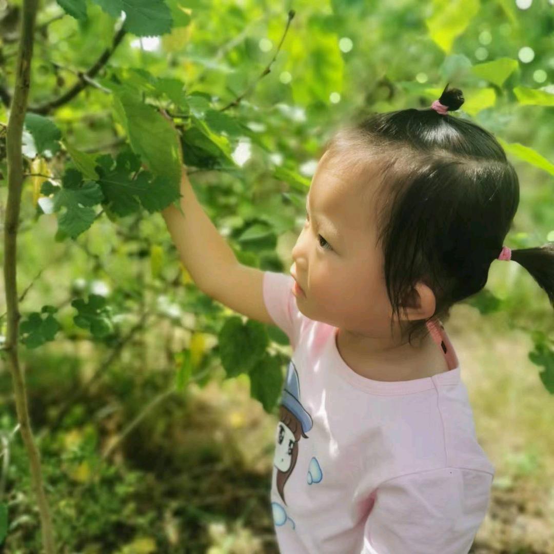 汤汤