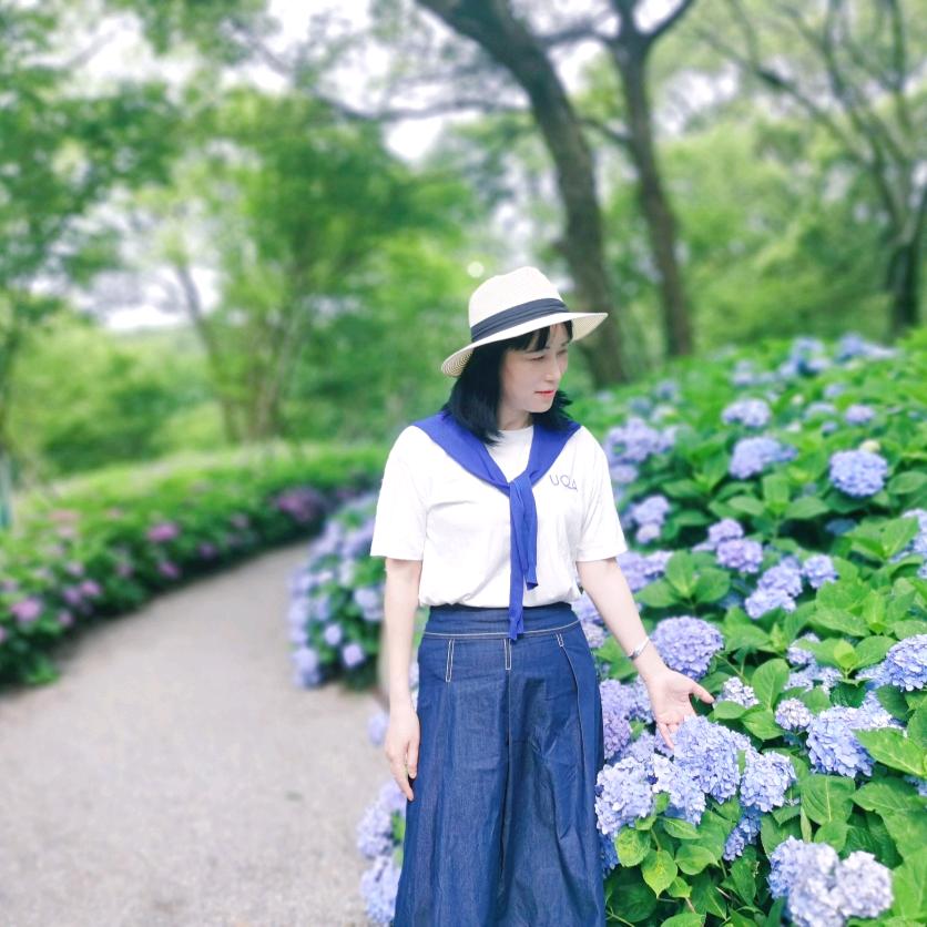 幸运草