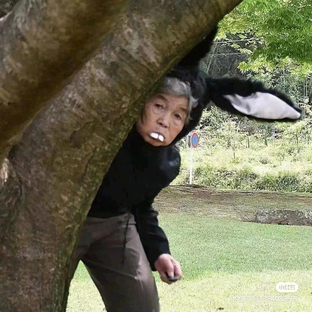 菲菲公主汉堡🍔叮～～～