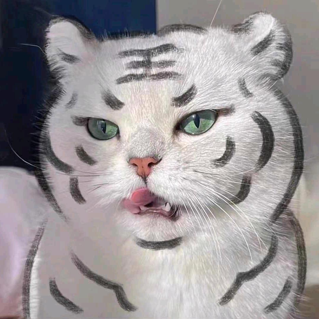 咖啡不加糖.☕