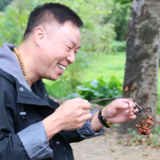 何业鸿