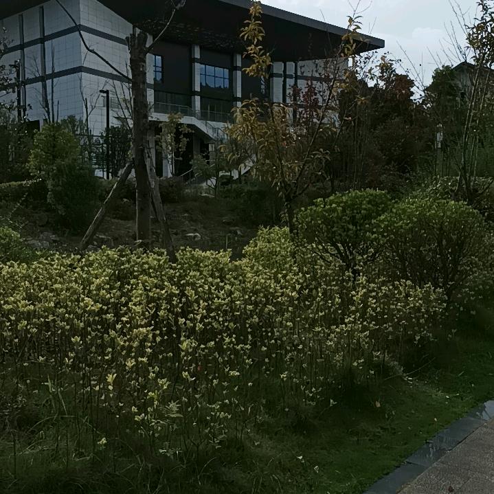 (இω龙哥இ)@。。。@。。