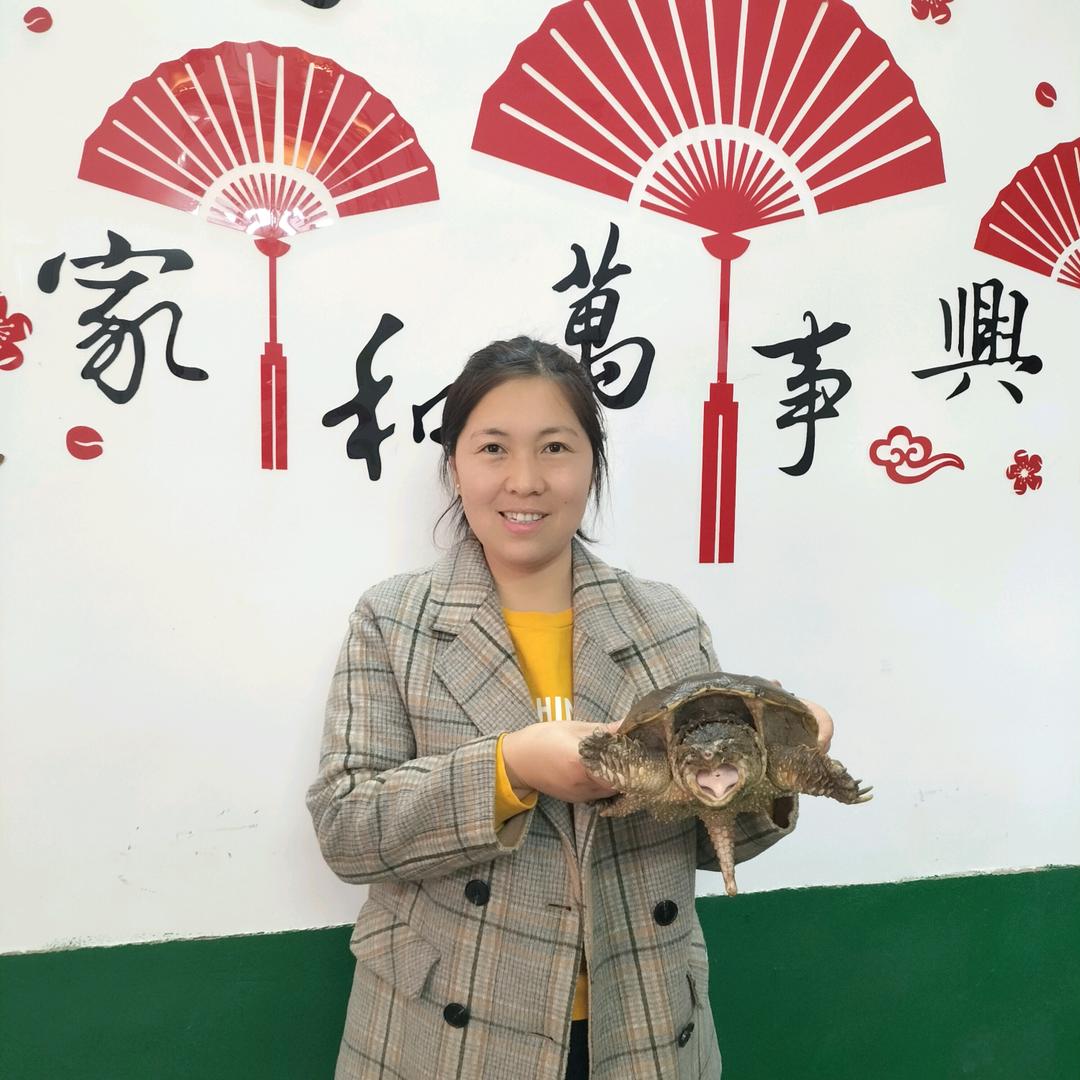 新宁县溪渔田园农业综合开发合作社