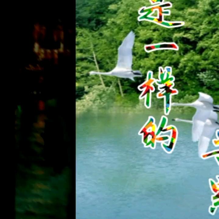 淡看江湖