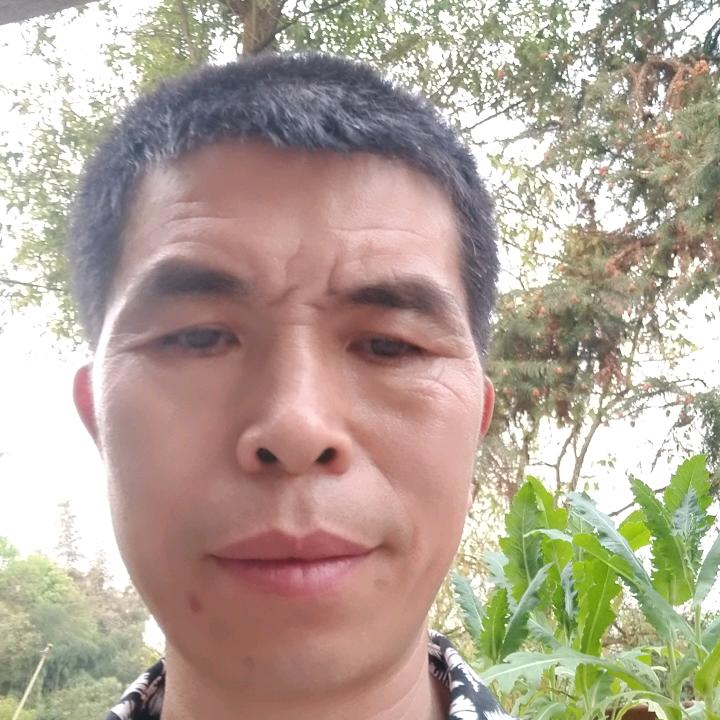 用户475张中全4629447143